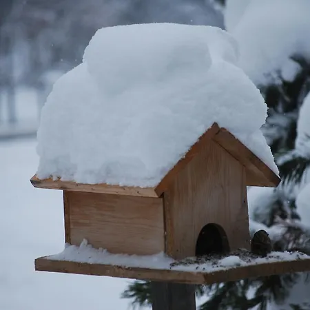 Biohof Seidl バド クラインキルヒハイム