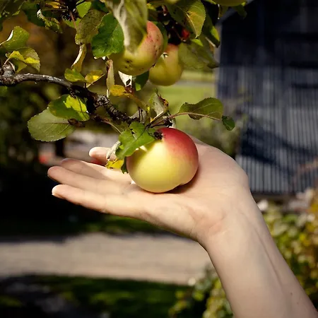 Biohof Seidl バド クラインキルヒハイム