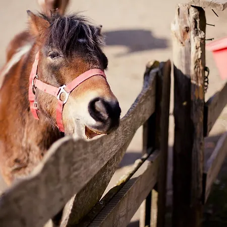 Biohof Seidl アパート