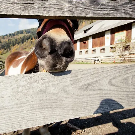 Biohof Seidl アパート *