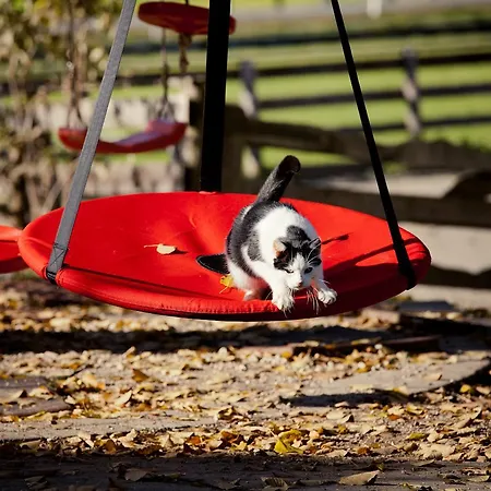 Biohof Seidl バド クラインキルヒハイム