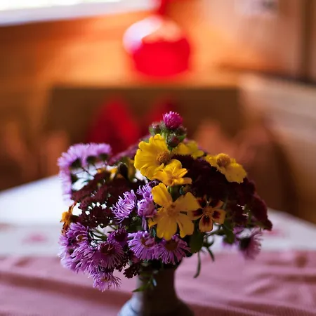 アパート Biohof Seidl