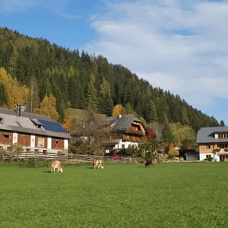 Διαμέρισμα Biohof Seidl Bad Kleinkirchheim