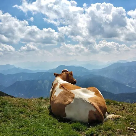 Biohof Seidl アパート バド クラインキルヒハイム